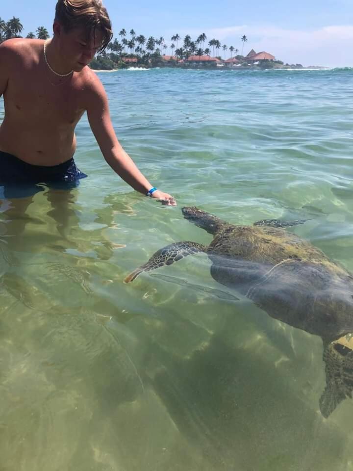 فندق Jk House Turtle Point ديكويلاّ تين المظهر الخارجي الصورة